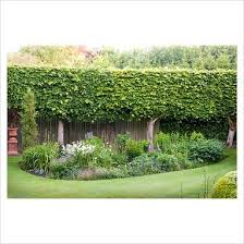 Pin On Garden Inspiration