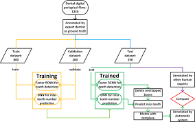 True story updated their website address. A Deep Learning Approach To Automatic Teeth Detection And Numbering Based On Object Detection In Dental Periapical Films Scientific Reports