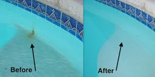 How to remove black algae: How To Remove And Prevent Metal Stains In Swimming Pools Dengarden