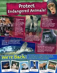 Pin On How To Help Endangered Species
