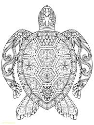 Pin On Adult Coloring