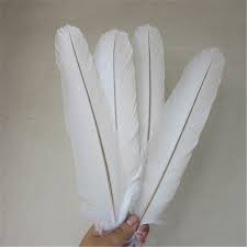 Eagle feather smudging of senator and mrs. Wholesale 12 Pcs High Quality White Eagle Feathers 15 18 Inches 38 45cm Pheasant White Feather Diy Crafts Jewelry Decoration Feather Aliexpress