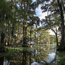 Caddo Lake Texas The Only Natural Lake In The State And The Largest Natural Lake In The South Vancouver Travel The Incredibles Travel