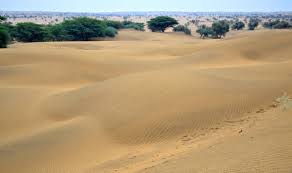 Badal house khuria stay at badal house allows visitors to get the most authentic jaisalmer desert experience. Badal House Khuri Updated 2021 Ranch Reviews Photos India Tripadvisor