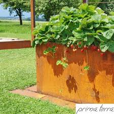 Prima Terra Hochbeet Optimus Versandkostenfrei Bei Garten Online Kaufen Produkt Detail Seite Garten Online In 2020 Hochbeet Pflanzen Seite Garten
