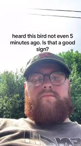 Been seeing the vids kf people saying they havent heard this bird in a long  time. And then i heard a bitd that sounded similar so i looked up the sound  and it was the same bird. Maybe its a good sign ...