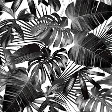 Aesthetic Black And White Palm Tree Wallpaper Black White Tropical Palm Tree Pattern Peel And Stick Palm Trees Painting Palm Trees Wallpaper Black And White Background