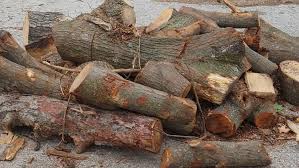 It's not always so straight forward. St Louis Offering Free Firewood To City Residents Ksdk Com