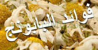 فوائد البابونج خصائص البابونج وفوائدها العلاجية والتجميلية الكثيرة food feta feta cheese