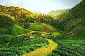 Assam - The Gateway to the North East Photo Credit: https://www.alightindia.com