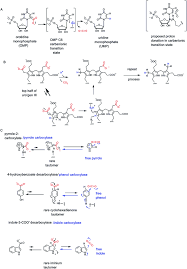Untuk makluman, bagi pelajar yang ingin melanjutkan pengajian ke upu, pengambilan kedua uitm, uia, ump dan upsi bagi sesi akademik 2020/2021 telah dibuka (second intake). Biologically Generated Carbon Dioxide Nature S Versatile Chemical Strategies For Carboxy Lyases Natural Product Reports Rsc Publishing