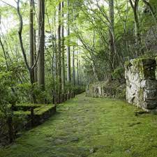 日本 京都安缦酒店 kerry hill architects jungle house kyoto garden forest