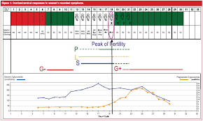 Billings Ovulation Method Natural Family Planning Nfp