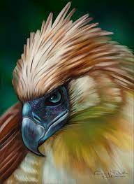 Keulemans of a female, a male, and a white female the huia had black plumage with a green metallic tinge 8 and distinctive rounded bright orange wattles at the gape. My New Digital Picture Philippine Eagle Creation Process Photos And Videos Steemit