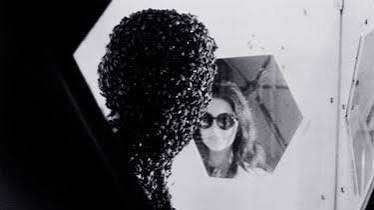Invasion of the Bee Girls | Rotten Tomatoes