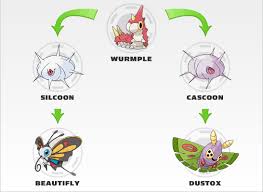 21 Prototypical Seedot Evolutions