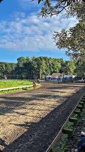 Ngabuburide with ijen 🫠🫣🤣 . . . . . . #sketsaclassic #cb125_se  #wargahonda #numpakcb #cbsatus #hondaspeedgank #detailcb #oldjapan  #sedulurpaido #engine_cb #garasi_mitasi_ #cbhitz.id #tretancb_  #bolo_cbselawase #bekase.cb #panggah_nyebe_ #rosokgank__ ...