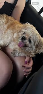 2 children's chairs found beer sands