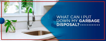 If they do, you could install one so that the outlet of the sink and disposal go into the gray water basin. Garbage Disposal Do S Don Ts Garbage Disposal Faqs