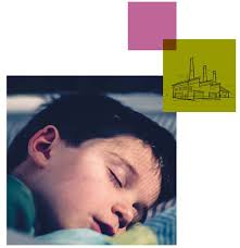 ROCKWOOL ESG Presentation