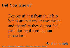 Bone Marrow Donation Be The Match Cancer Journey Multiple Myeloma Cancer Bone Marrow