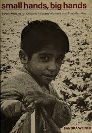 Sandra Weiner's Instagram, Twitter & Facebook