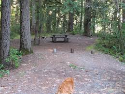 See 16 traveler reviews, candid photos, and great deals for whispering pines campgrounds, ranked #12 of 18 specialty lodging in rapid city and rated 4.5. Whispering Falls Campground Detroit Ranger District Santiam Oregon