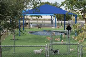 How Artificial Turf Increased My Dog Daycare Business 250 Tristar Vet Veterinary Equipment Solutions In Stainless Steel Dog Daycare Dog Park Design Outdoor Dog
