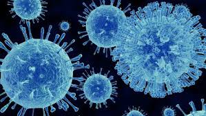 Mengenal Norovirus Virus Yang Serang China Di Tengah Corona
