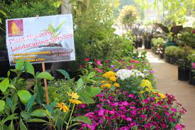 Crc world dictionary of grasses common. 26 Luxury Garden Plants Sri Lanka Garden Plants