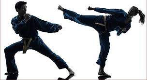 It's possible to find various art and images that are available for download without charge. In Which Martial Art Might You Use Trivia Questions Quizzclub