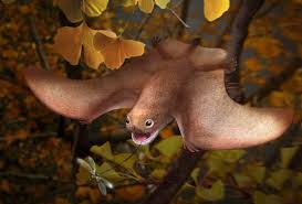 Anurognathus Ammoni Trying To Catch An Insect Anurognathus Is An Extinct Genus Of Small Pterosaurs That Lived In G Animals Extinct Animals Prehistoric Animals
