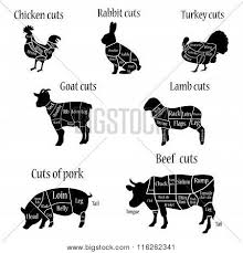 butcher chart diagramm poster id 116262341