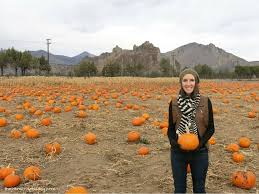 Planning to announce your pregnancy properly? Fall Pregnancy Announcement Cute Creative Making Manzanita