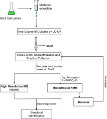 1 Showing The Flow Chart Of Production Of Secondary