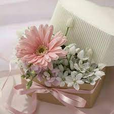 Everyone wants to start a day with a beautiful and fresh mind. Cute Flowers Dp Flowers Dp Flower Pictures Pics For Dp