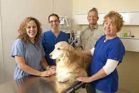 Vca mission animal hospital has updated their hours and services. Pet Healing Strokes Plugs San Luis Obispo New Times San Luis Obispo