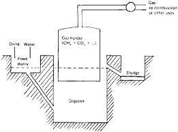 the biogas plant