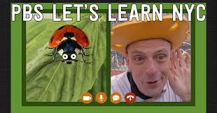 Green Bronx Machine, Author at Green Bronx Machine