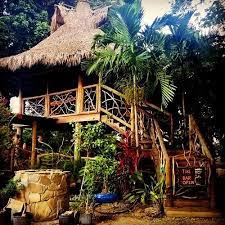 Tiki Bar Open Tiki House Cool Tree Houses Tree House