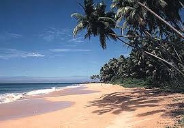 Sri lanka island tour (8d|7n) north special tour (8d|7n) around sri lanka (10d|9n) around sri lanka ii (10d|9n) sri lanka special (10d|9n) best of sri lanka (15d|14n) 1 day trips. Golfreise Sri Lanka Golfurlaub Sri Lanka Golf Und Badeurlaub Sri Lanka Golfasien