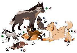 We did not find results for: Wolf Pup Adopt Closed By Beestar Adopts On Deviantart