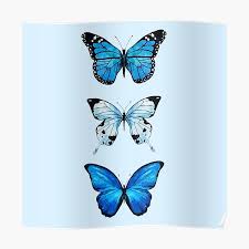 Blue bedroom butterfly wall decor. Blue Butterfly Wall Art Redbubble