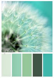 Teal gets its name from the colored area around the eyes of the common teal, a member of the duck family. Up Close Color Palette Color Inspiration Color Schemes