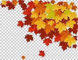 Autumn Leaf Color Maple Leaf Png Autumn Autumn Leaf Color Autumn Leaves Color Deciduous Autumn Leaf Color Autumn Leaves Leaf Coloring