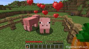 The video shows all the different ways to breed every animal as of the 0.8.0 update in minecraft pocket edition. How To Breed Pigs In Minecraft