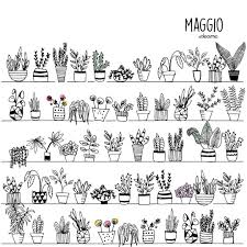Horsetails, and liverworts, and the gymnosperms a group of plants which includes the conifers. Maggio E Arrivato Da Un Pezzo E Non Ce Ne Siamo Accorte Progettoideame Maggio May Fiori N Plant Doodle Doodle Art Journals Flower Doodles