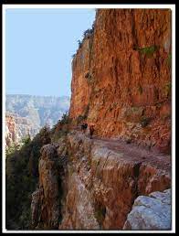 Pin By Cor Klijsen On Grand Canyon Grand Canyon Grand Canyon Az Grand Canyon National Park