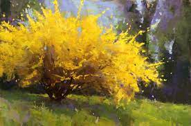 Elk landschap vertelt het verhaal van de relatie tussen de mens en zijn omgeving. Spring Forsythia By Jacob Aguiar Pastel 6 X 9 Bomen Tekenen Landschap Boom