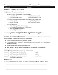 11.4 meiosis lesson objectives contrast the number of chromosomes in body cells and in gametes. Section 11 4 Meiosis Answer Key Doc Template Pdffiller